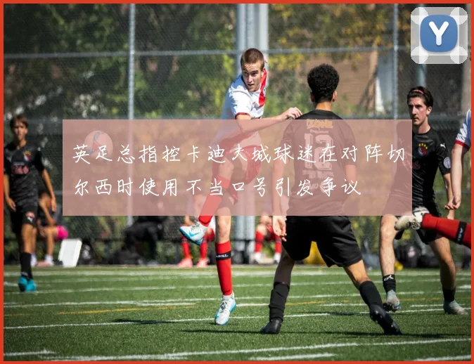 英足总指控卡迪夫城球迷在对阵切尔西时使用不当口号引发争议